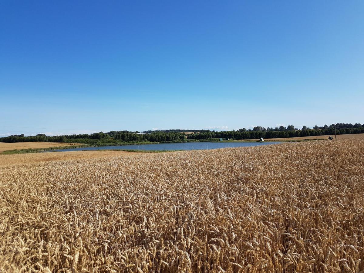 Sterla - Masuria Villa Giżycko Kültér fotó